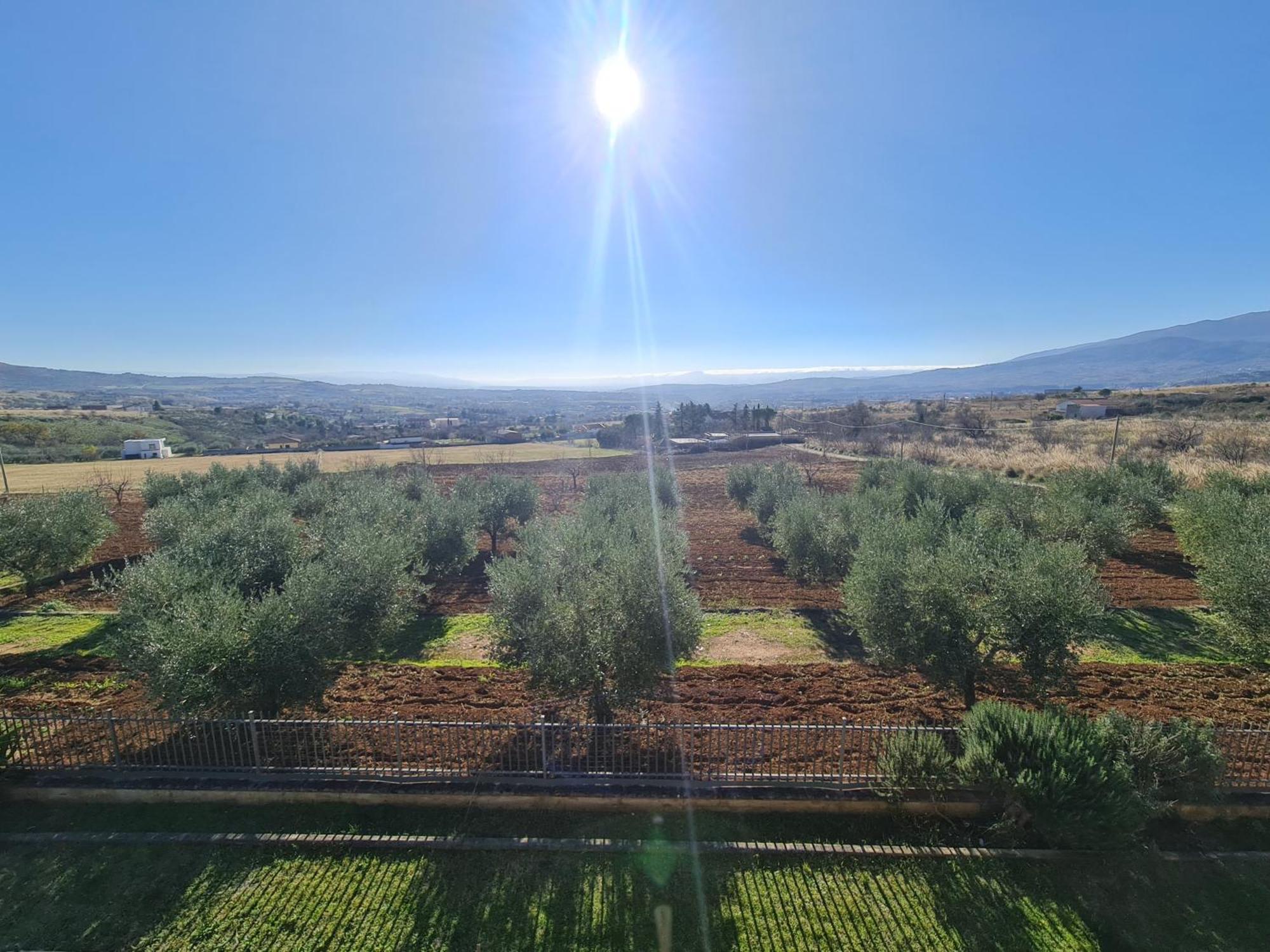 B&B La Petrosa Frascineto Dış mekan fotoğraf